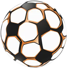 totosport gallery image