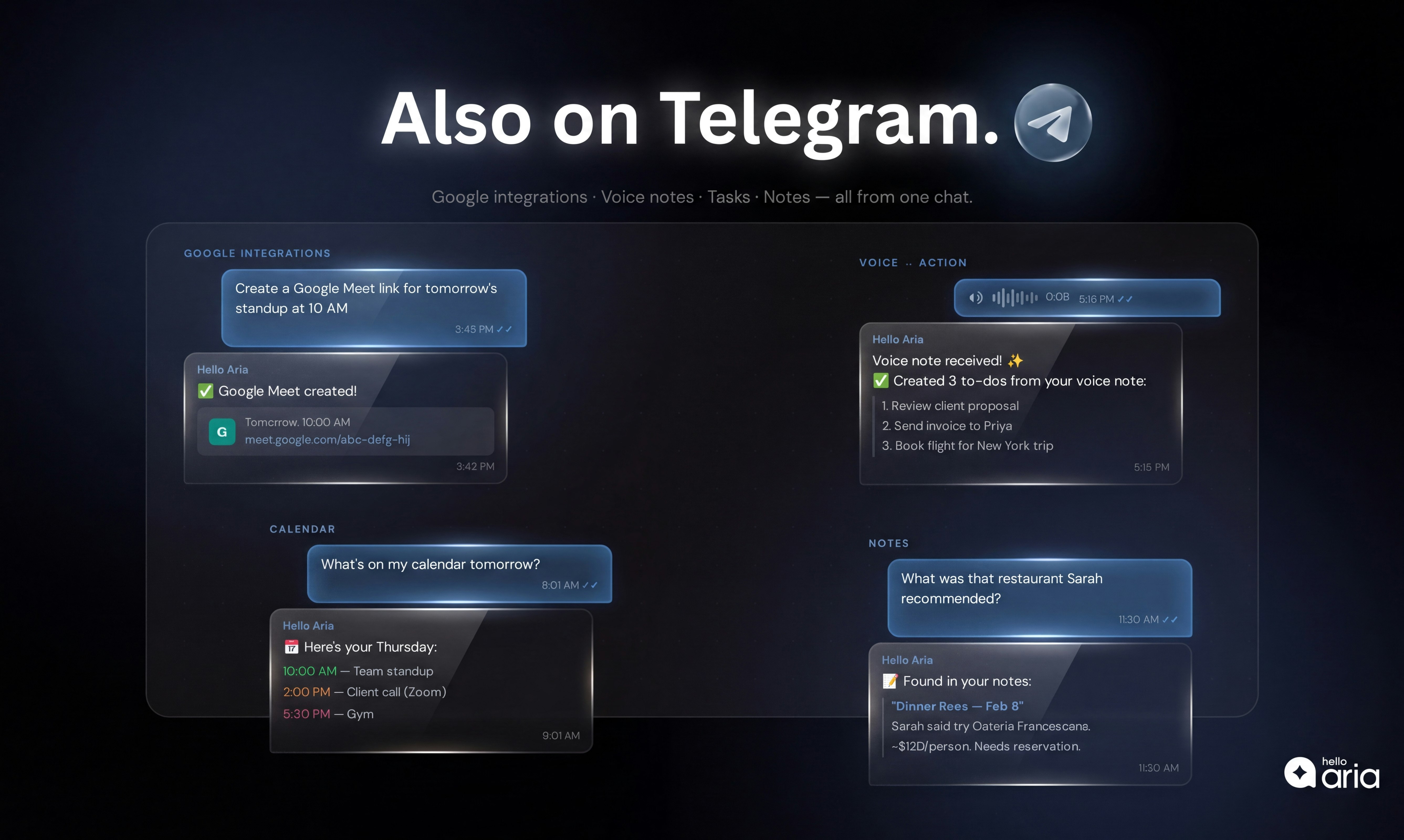 Hello Aria gallery image