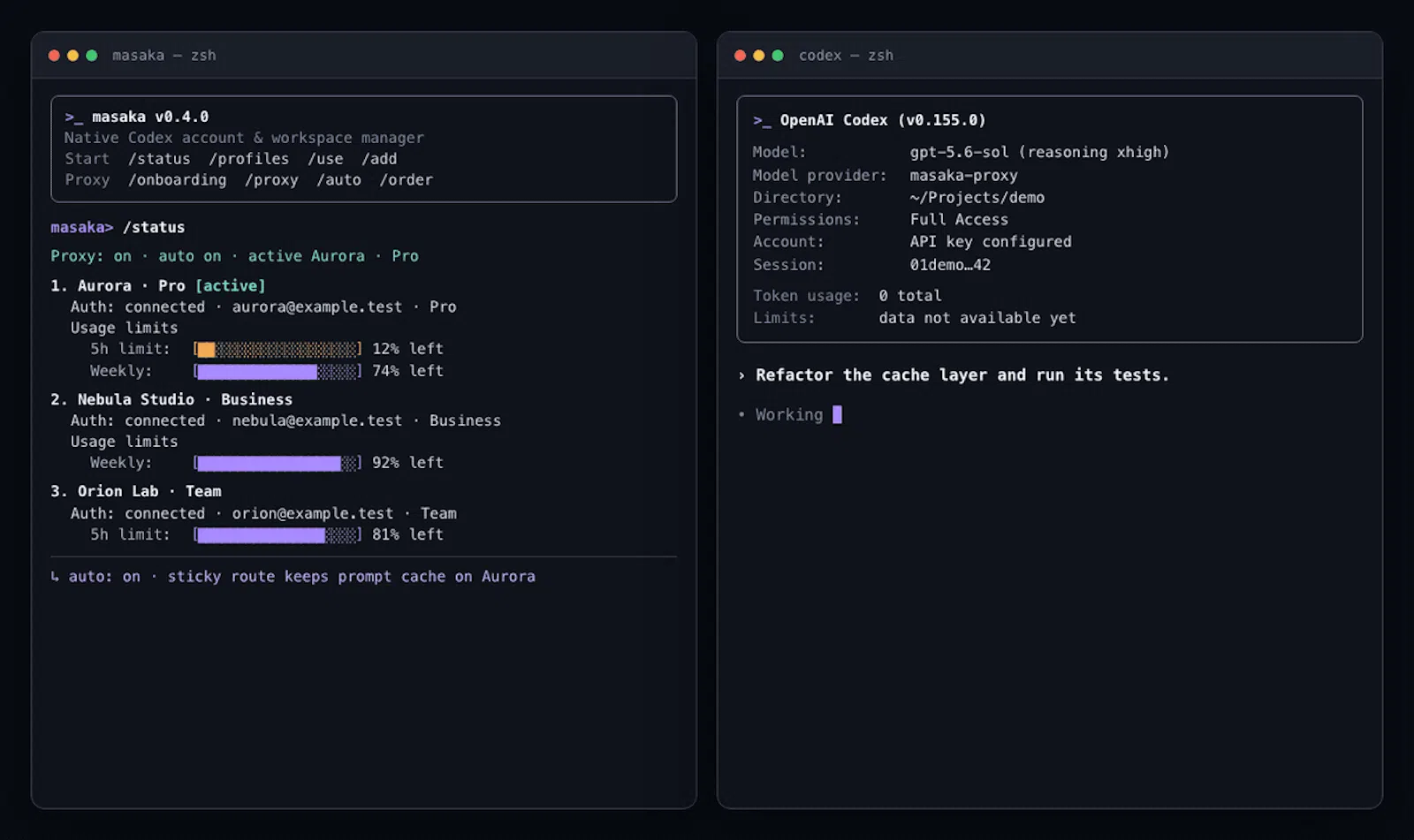 Masaka for Codex screenshot 2