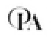 artificial earrings for daily use