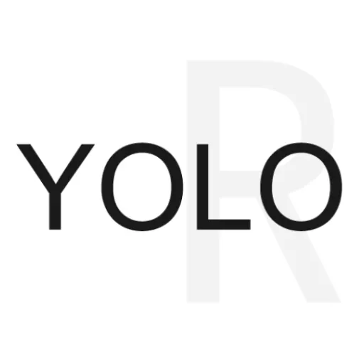 YOLO.R