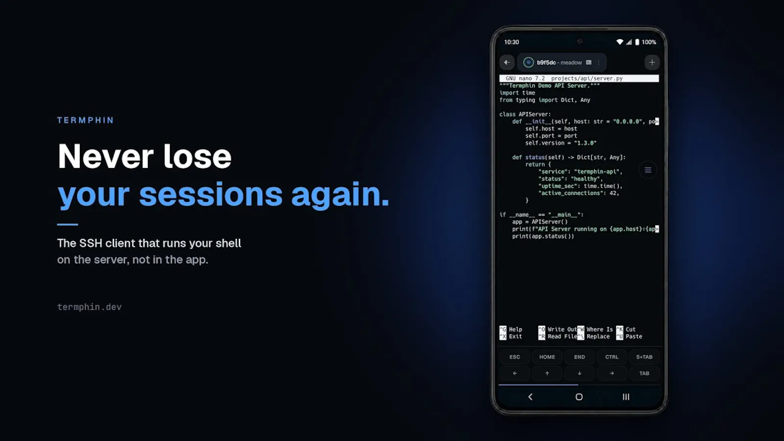 Termphin screenshot 1 (video preview)