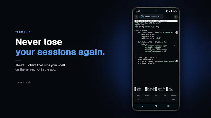 Termphin screenshot 1 (video preview)