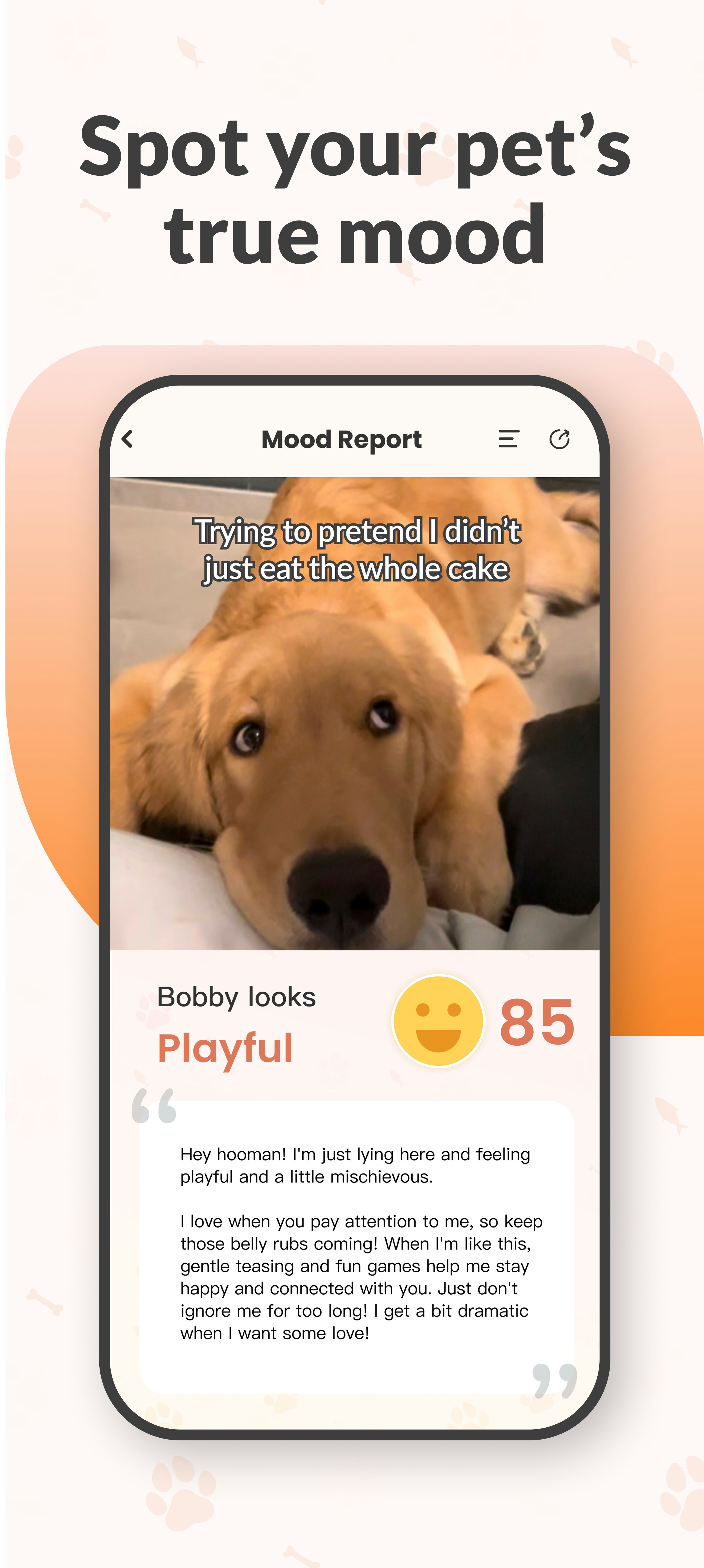 WoafMeow gallery image