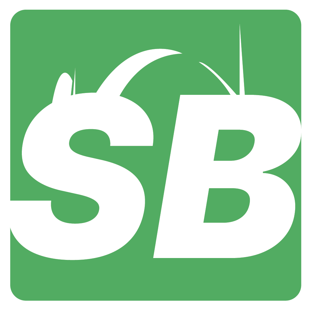 SkillBridge