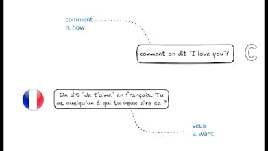 Lingualearner gallery image