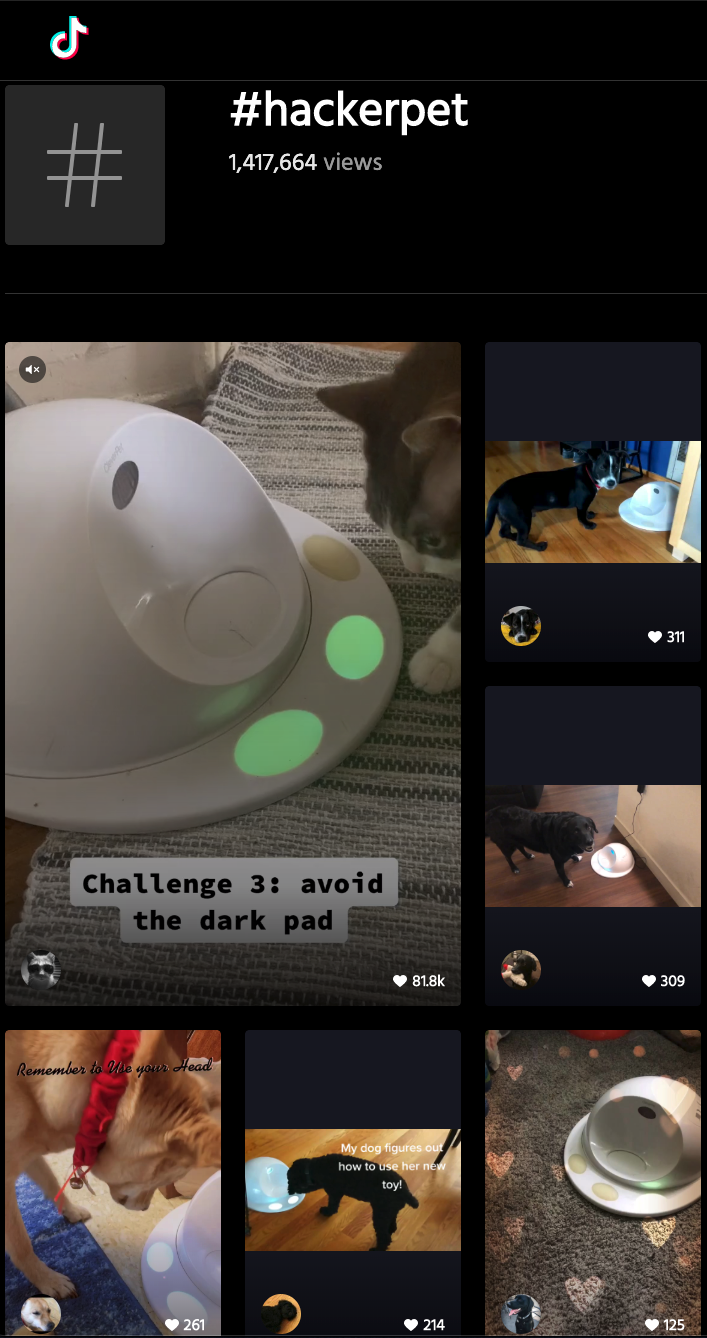 hackerpet gallery image