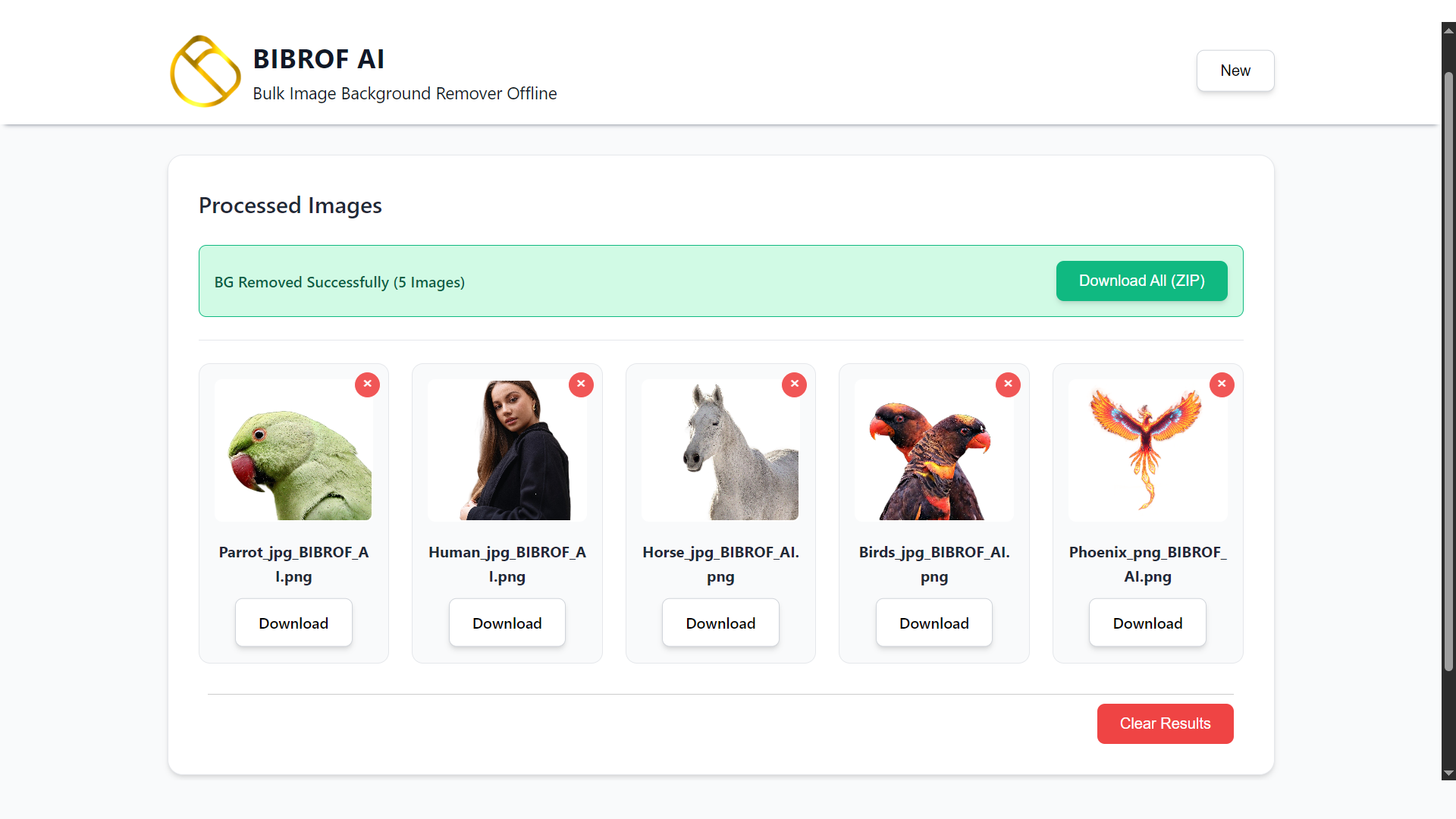 BIBROF AI gallery image