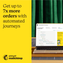Mailchimp Pro Image