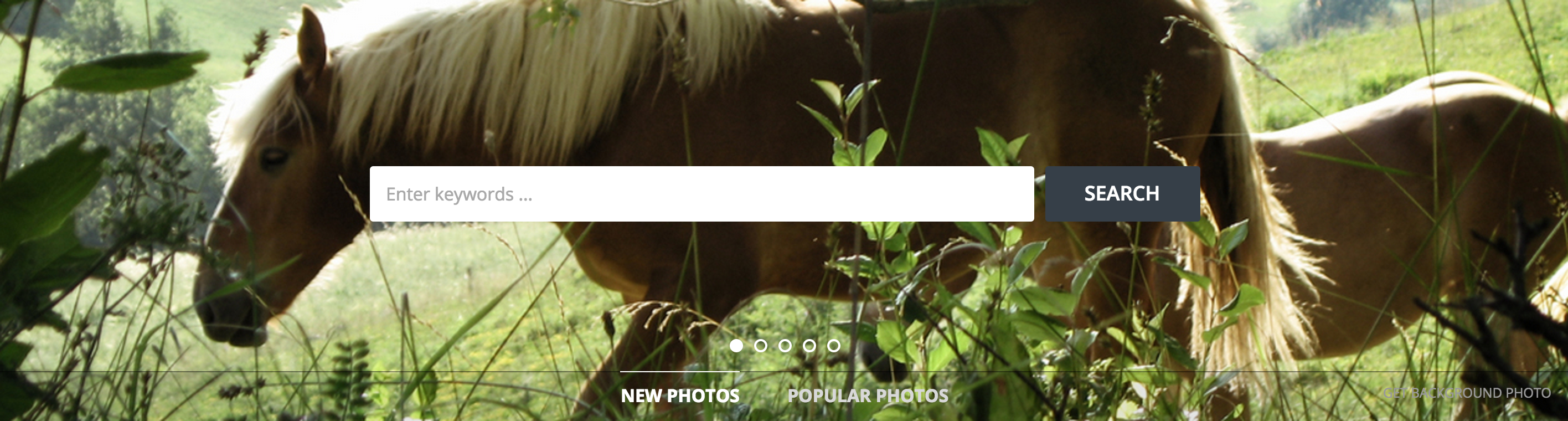 Free Images gallery image