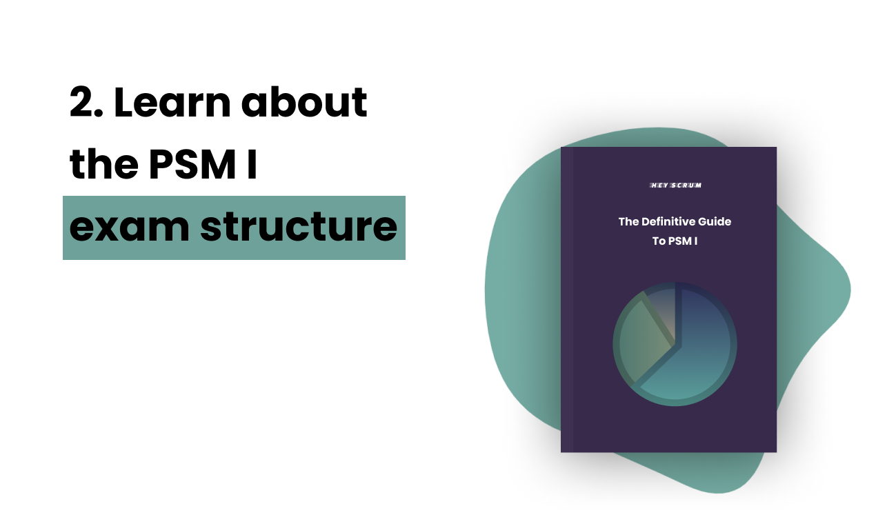 PSM1.org gallery image