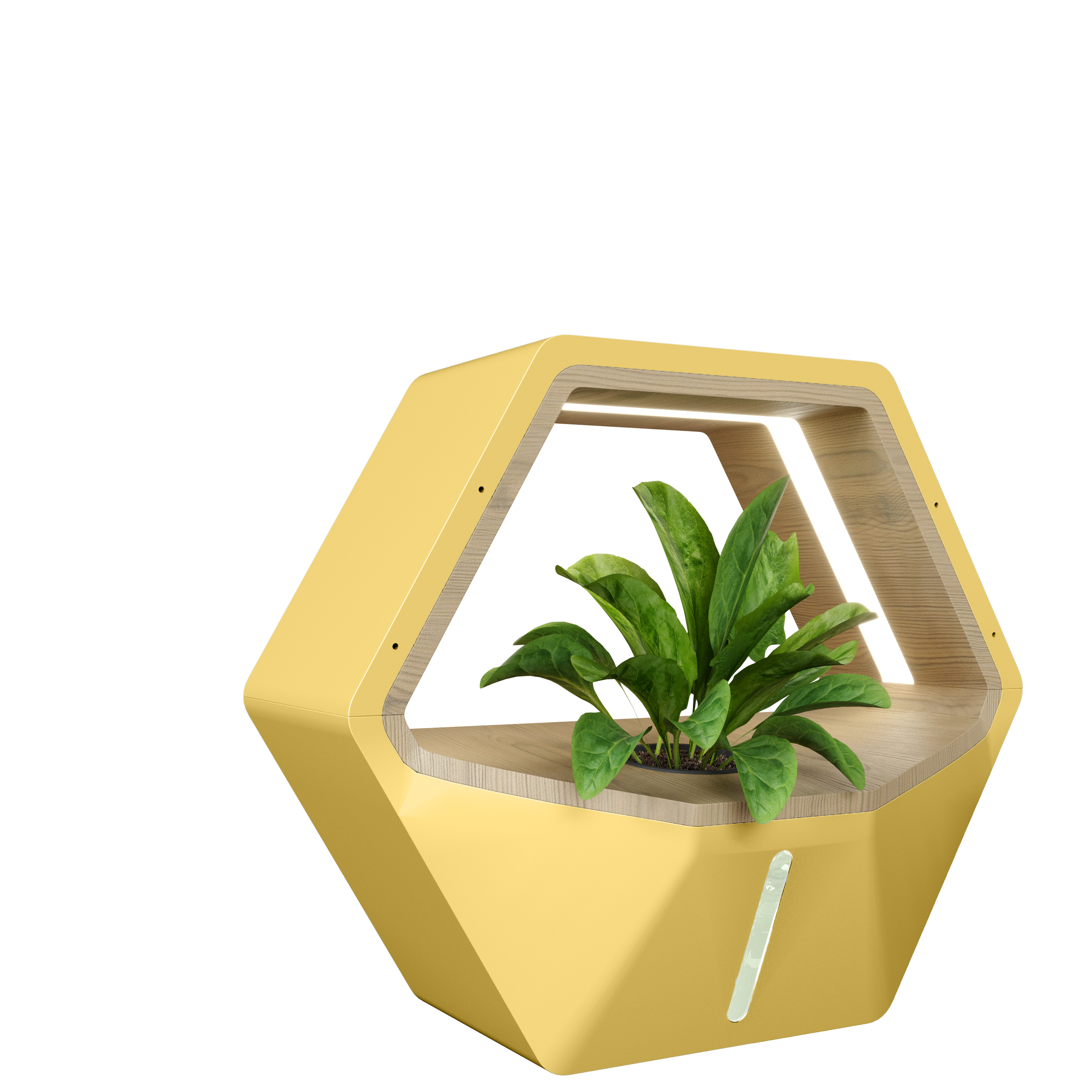 Bee Leaf Planter gallery image