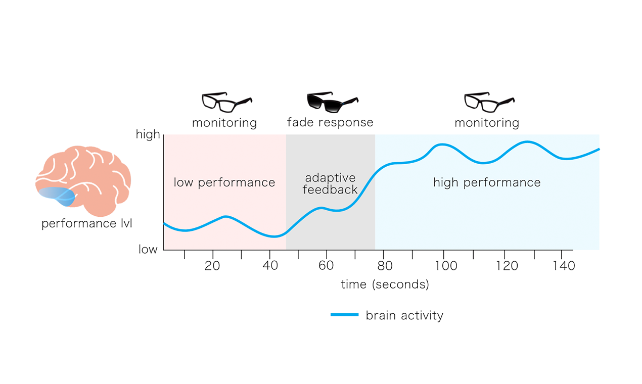 Blueberry gallery image