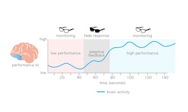 Blueberry gallery image