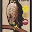 H is for Hawk