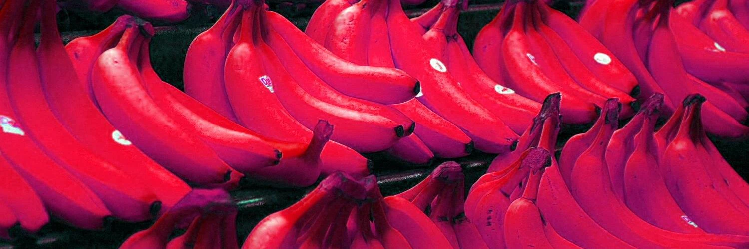 Adam Awesomeface cover