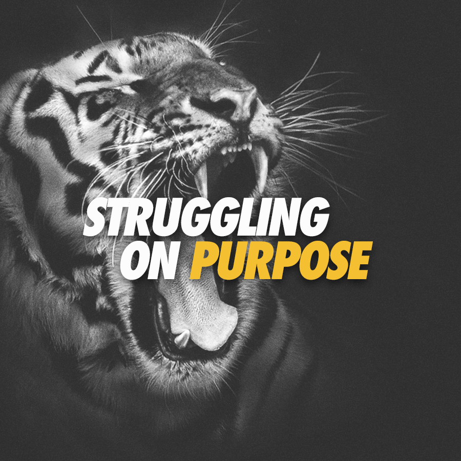 The Learner Lab Podcast gallery image