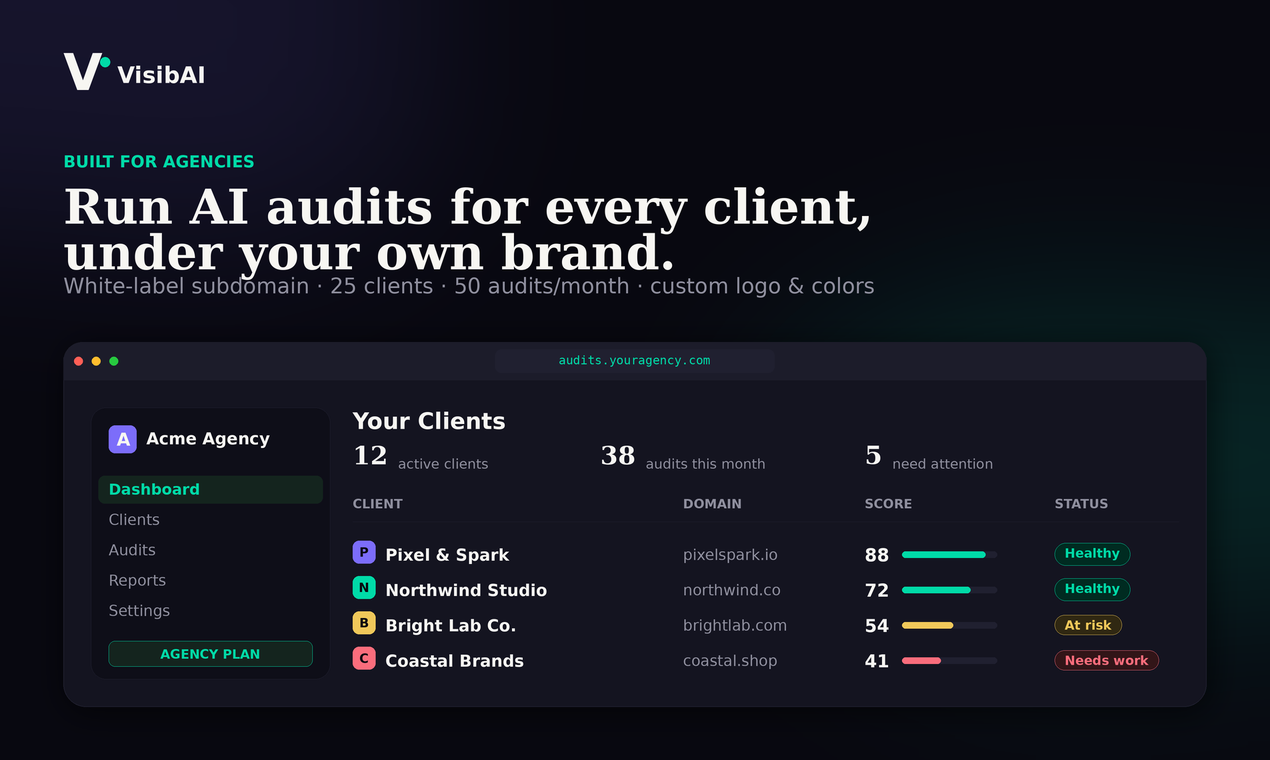 VisibAI - AI Visibility Audit Tool gallery image