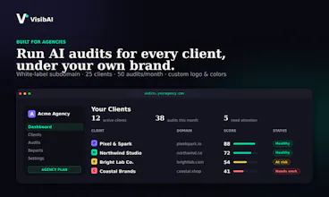 VisibAI - AI Visibility Audit Tool gallery image