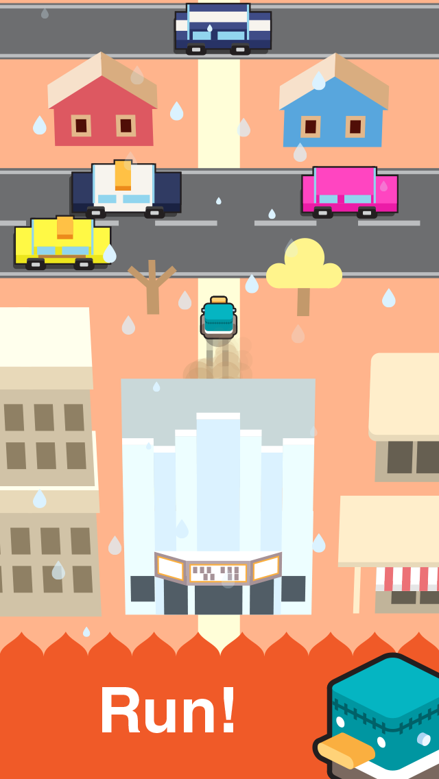 Dashy Ducks gallery image