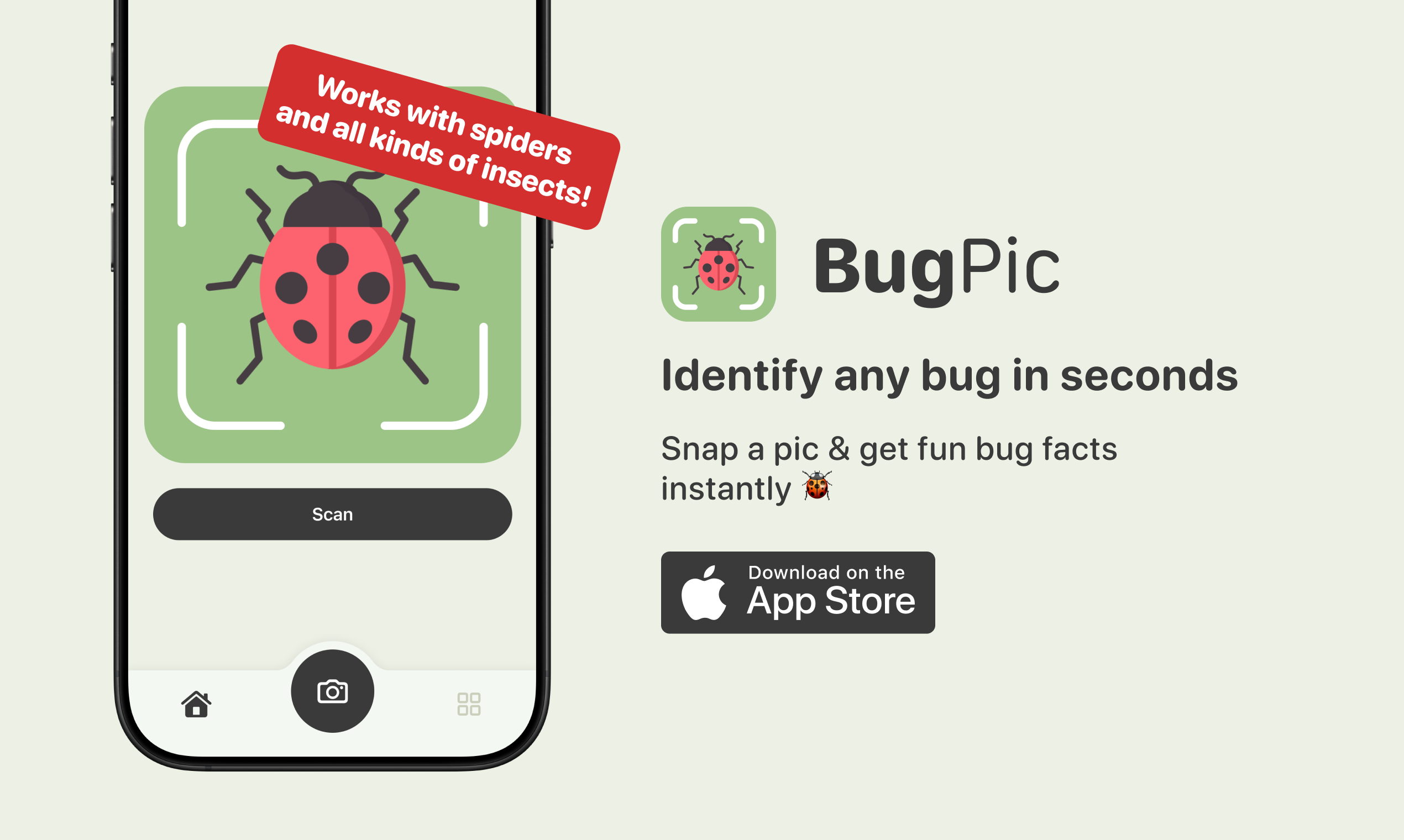 BugPic media 1