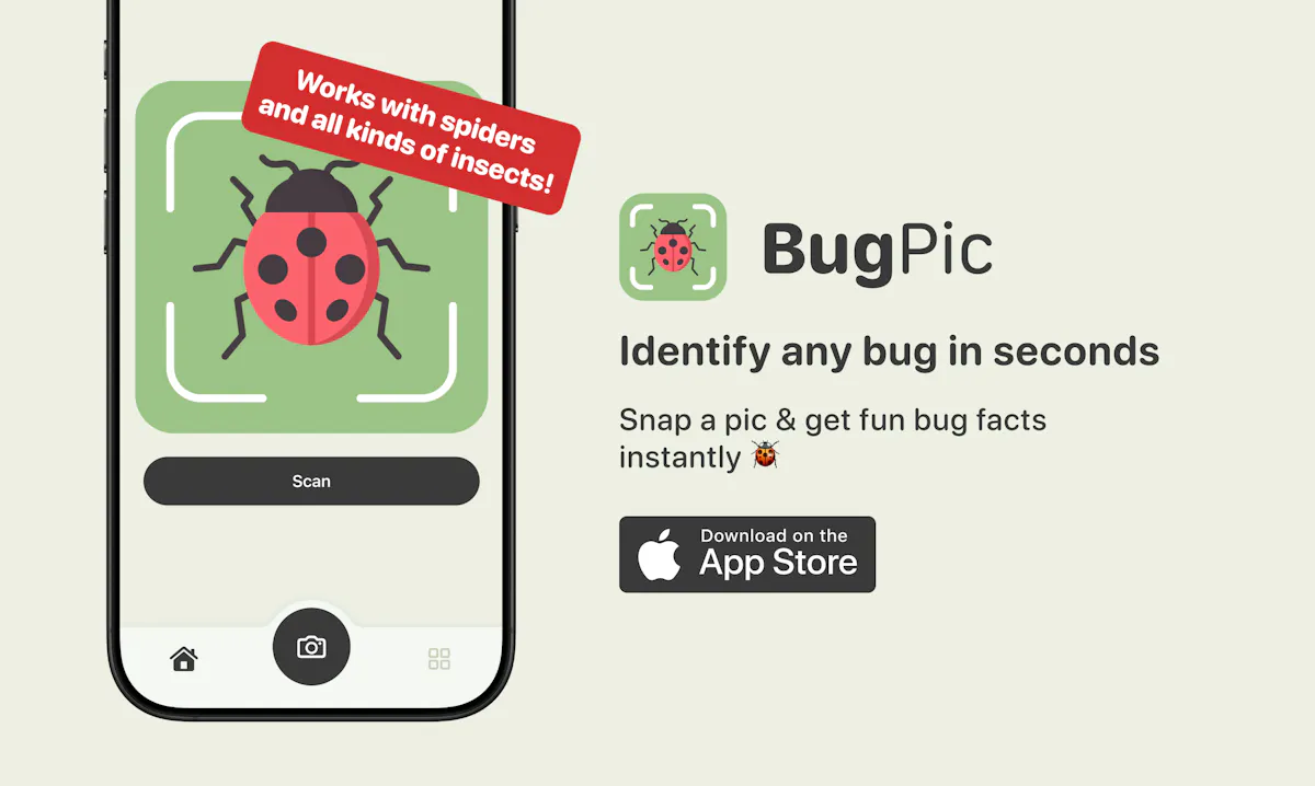 BugPic