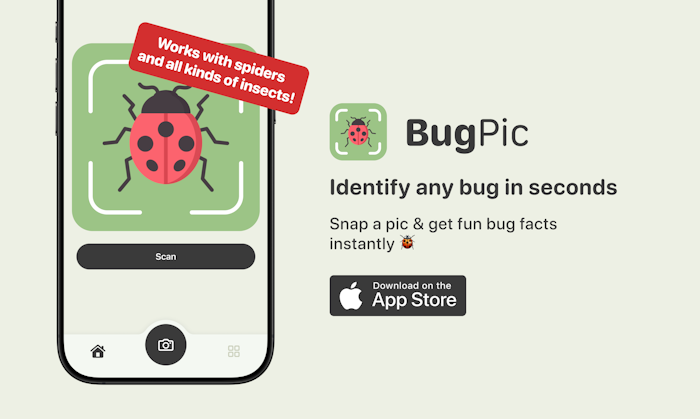 BugPic产品图