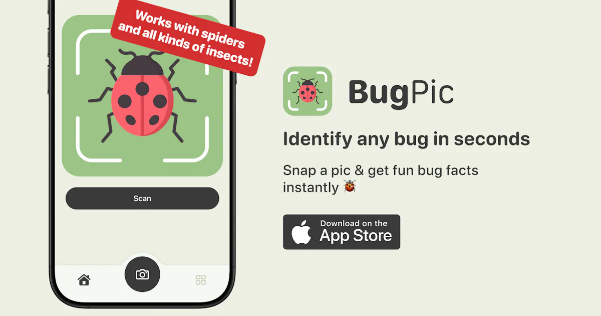 BugPic
