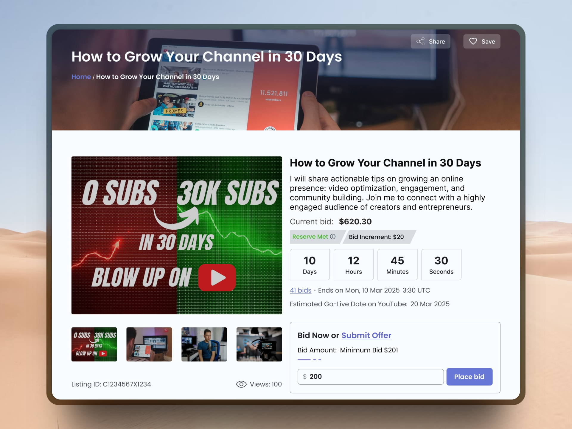 BidVid gallery image