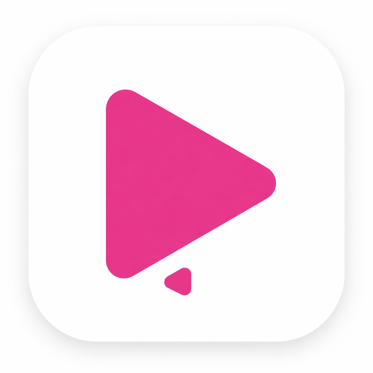 TikTok Downloader