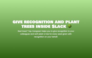 Evergreen gallery image