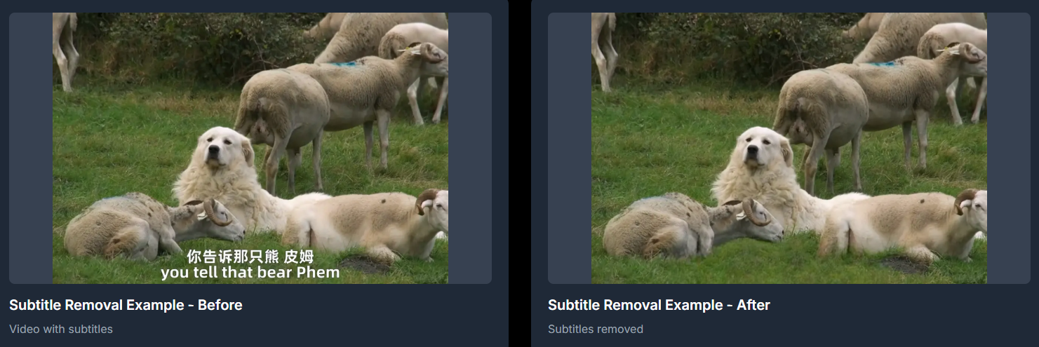 RemoveWatermark gallery image