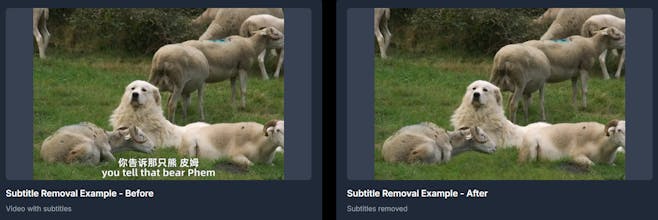 RemoveWatermark gallery image