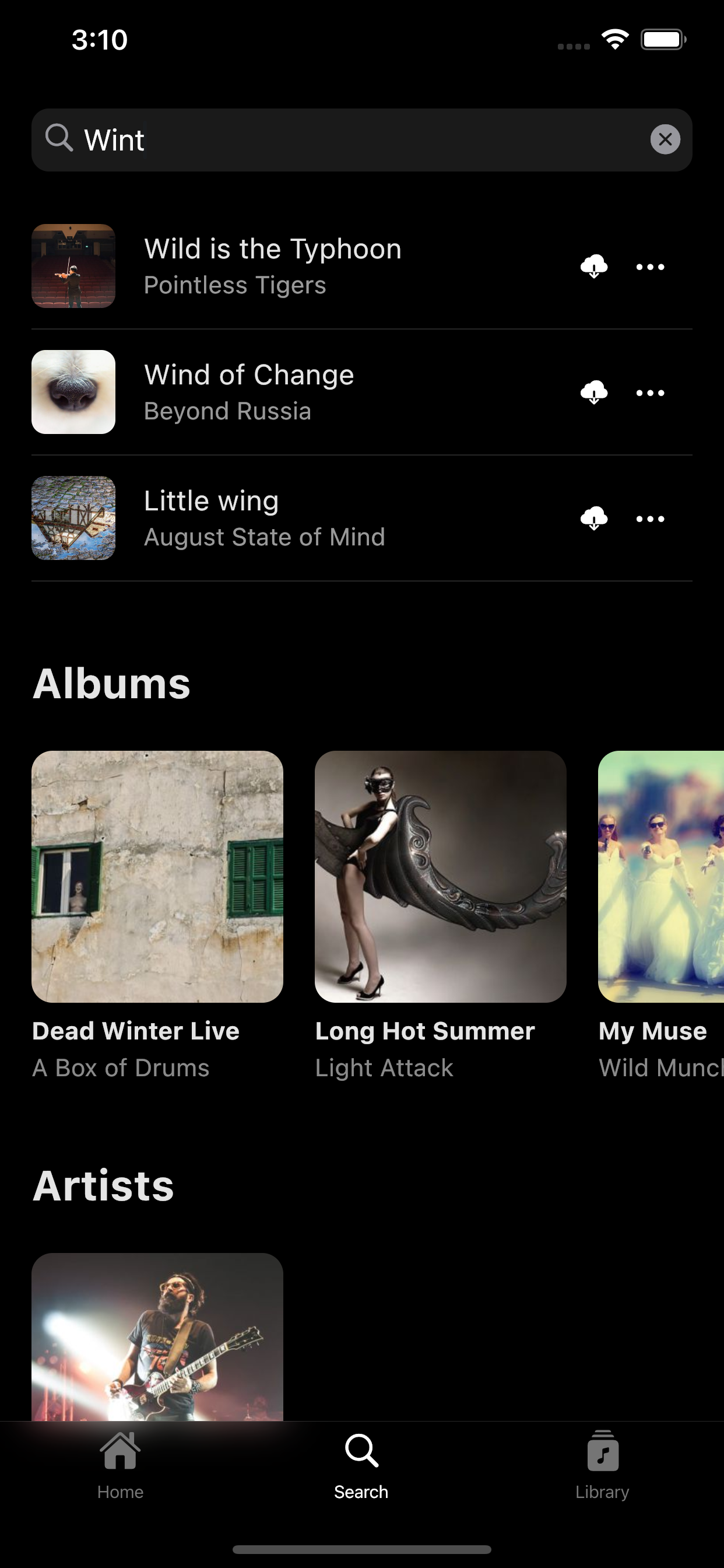 Koel Player gallery image