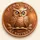 Penny Owl