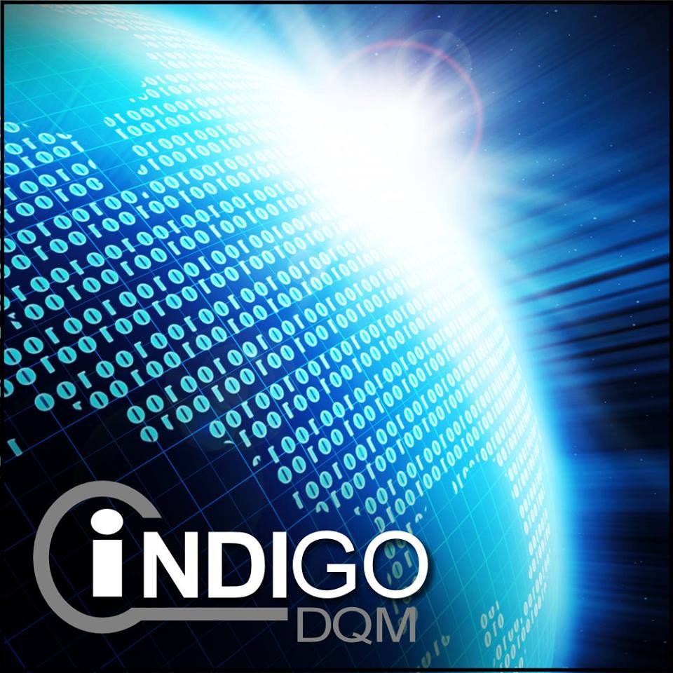 Indigo DQM Data Management System