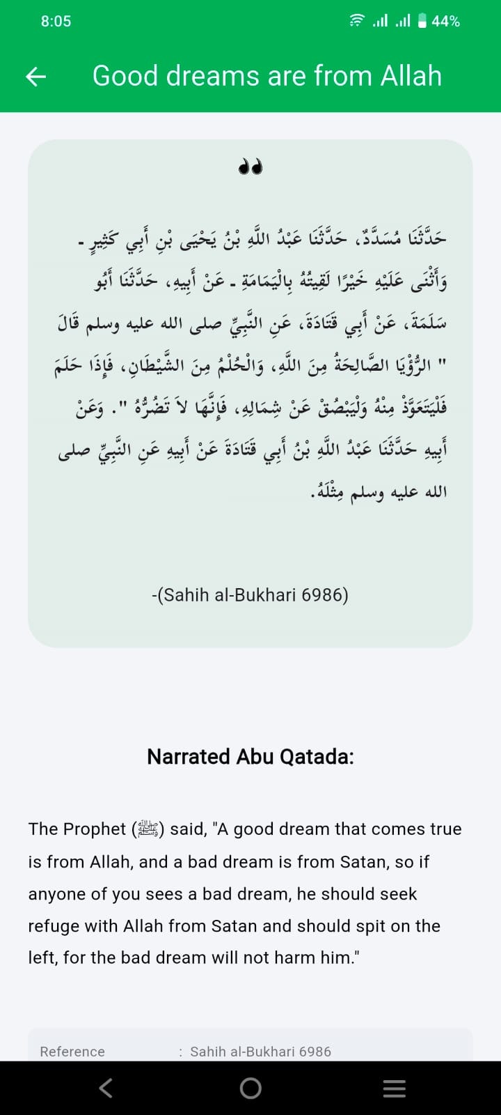 دليل الحلم الإسلامي media 7