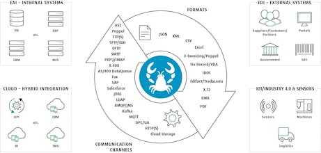 Lobster_data gallery image