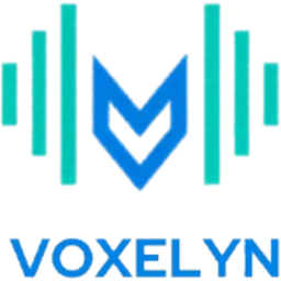 Voxelyn AI