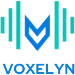 Voxelyn AI logo