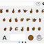 Signily Keyboard