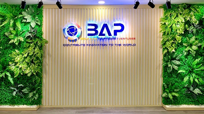 BAP Software cover