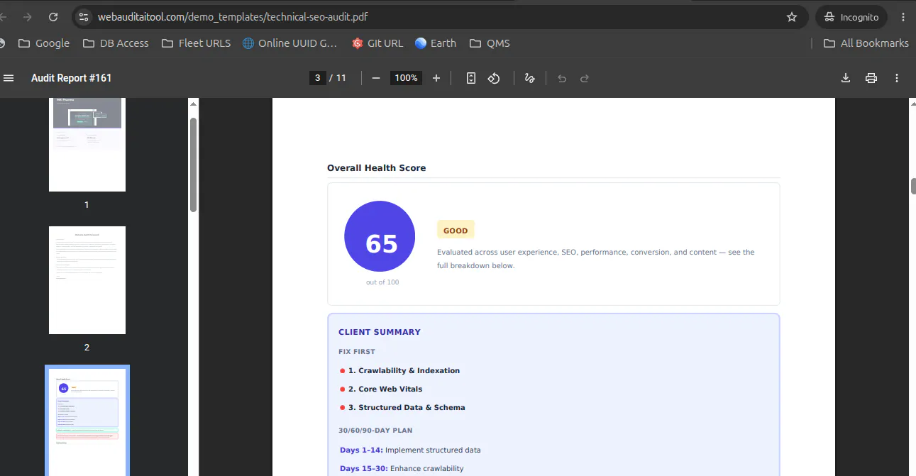 WebAudit AI gallery image