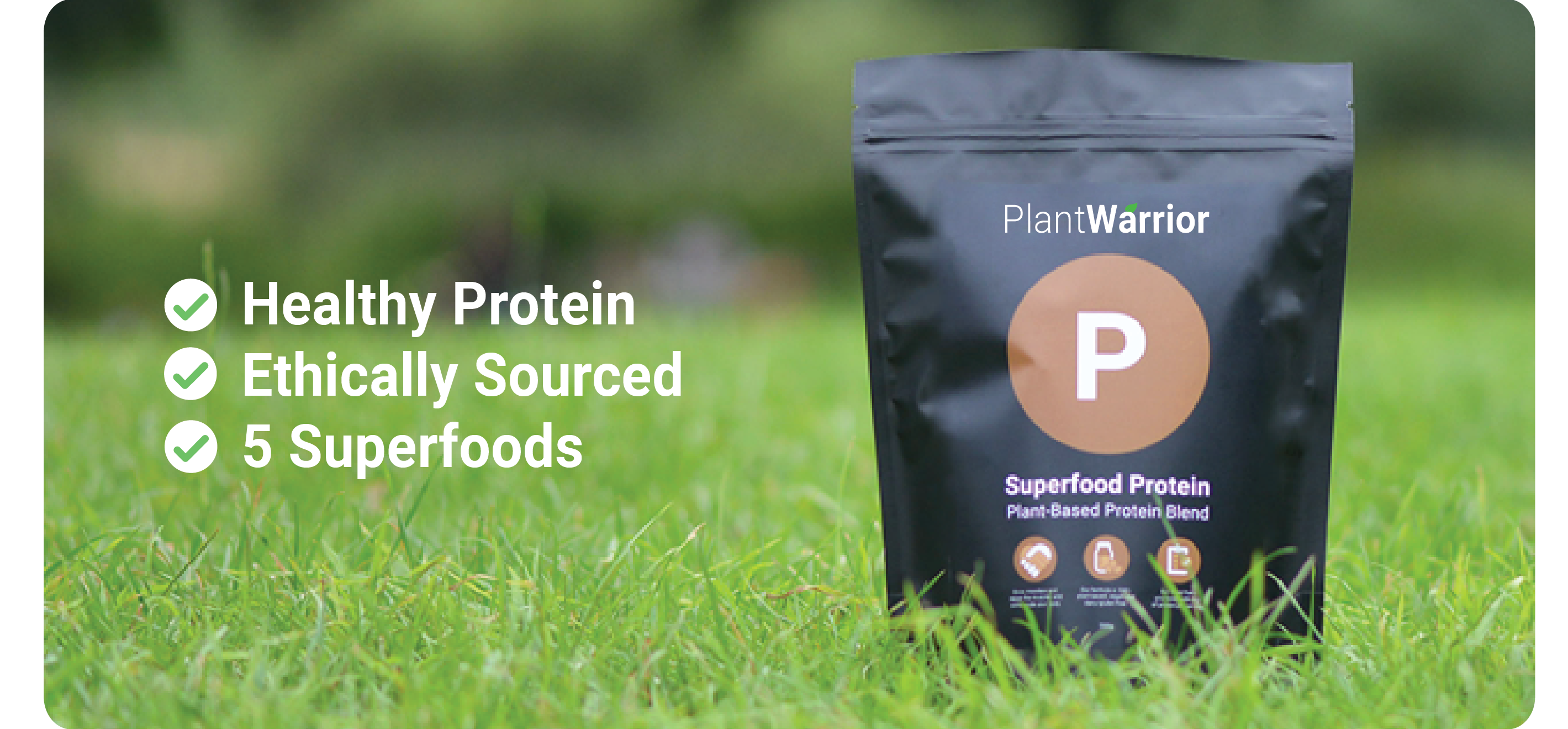 Superfood Protein gallery image