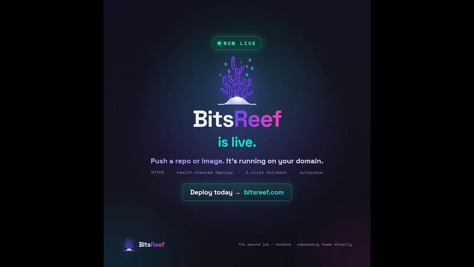 BitsReef screenshot 1 (video preview)