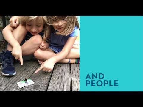 Bee Saviour Behaviour gallery image