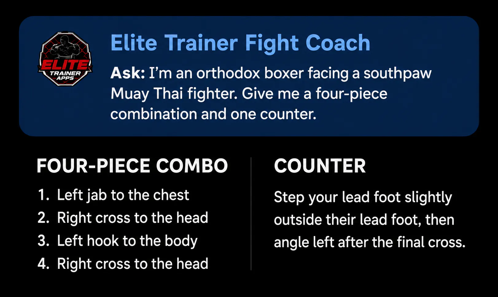 Elite Trainer Fight Coach gallery image