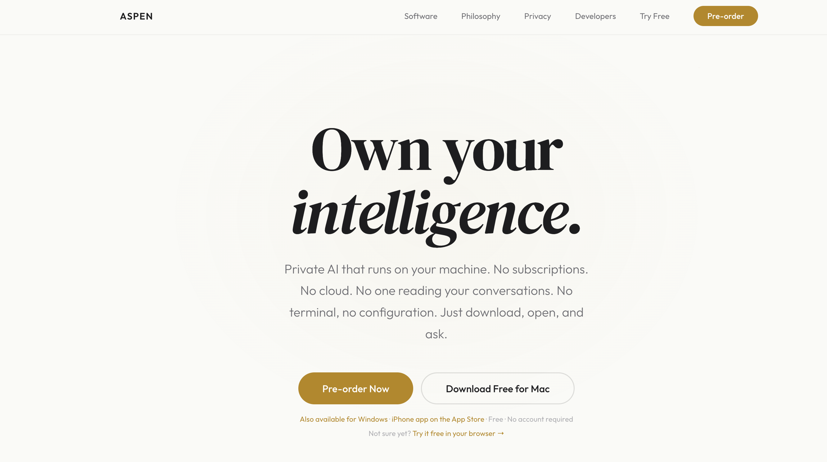 Aspen — Own your intelligence gallery image