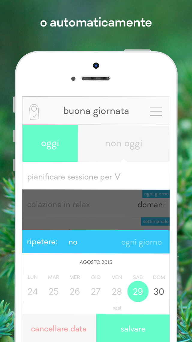 daily 2 gallery image