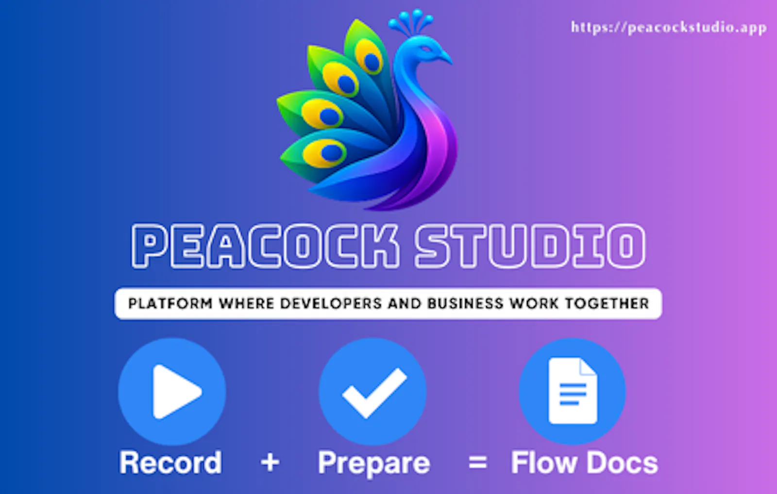 Peacock Studio screenshot 3